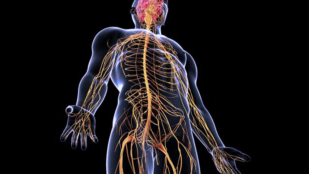 Peripheral Nerve Surgery